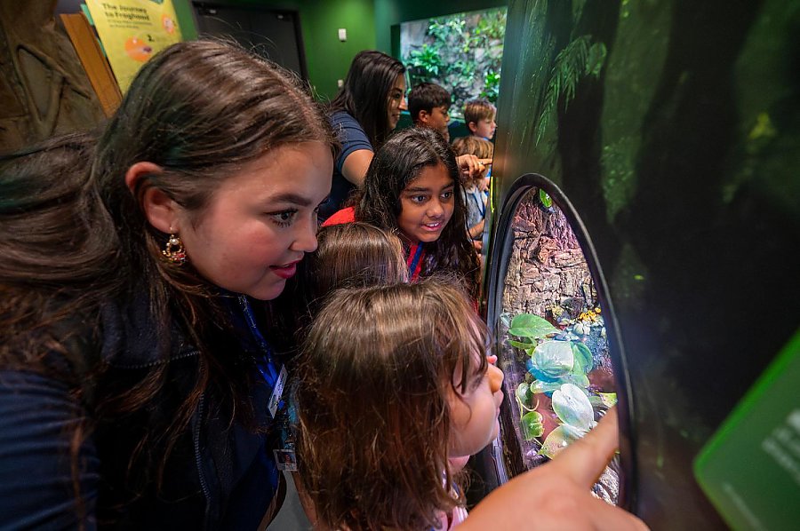 Educator and children peer into a small exhibit