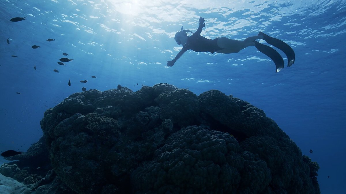 A woman snorkler floats above a coral reef, backlit by the sparkling rays of sunlight.