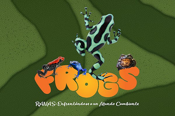 Frogs: Facing a Changing World four frogs on a logo type with Spanish text