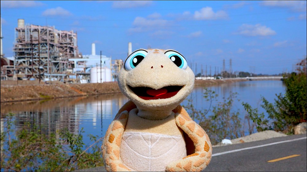 Pablo the Sea Turtle smiling big