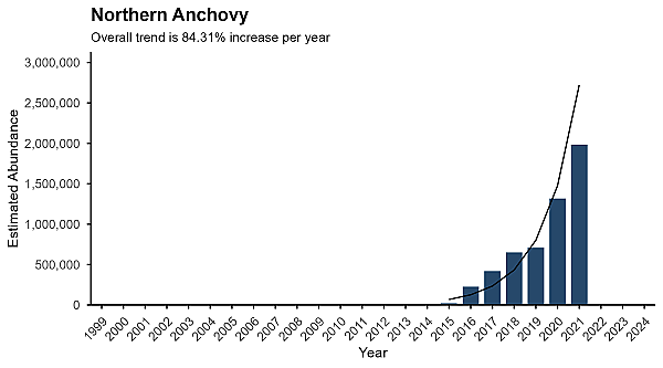 Northern Anchovy Abundance