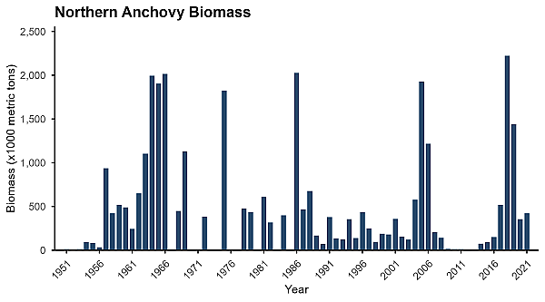 Northern Anchovy Biomass