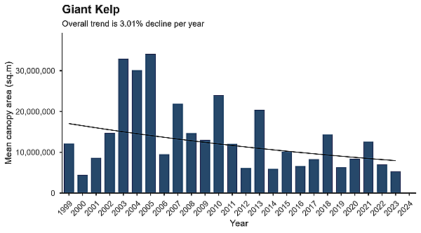 Giant kelp abundance