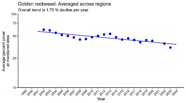Golden rockweed regression averaged across regions