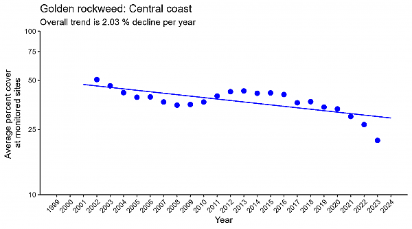 Golden rockweed Central coast regression