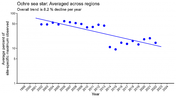 Ochre sea star averaged across regions regression