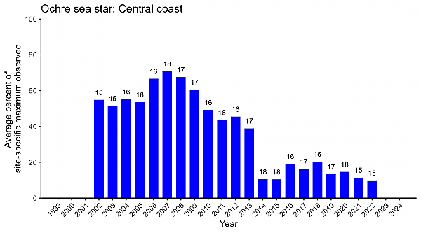 Ochre sea star central coast abundance