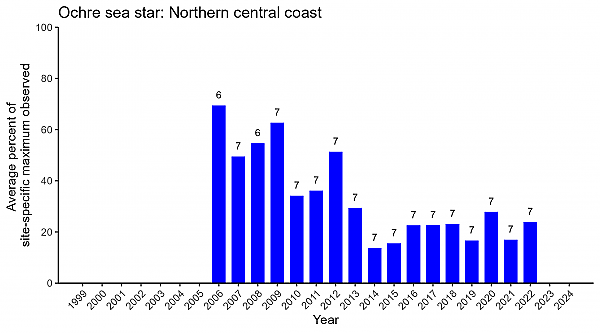 Ochre sea star Northern central coast abundance
