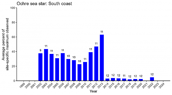 Ochre sea star south coast abundance