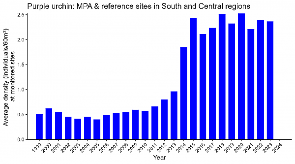 Purple urchin MPA and reference sites in South and Central regions abundance