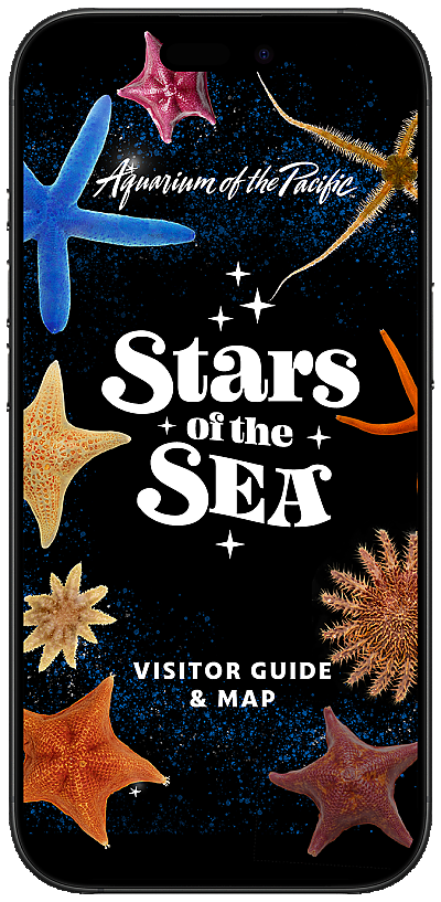 Aquarium Visitor Guide App