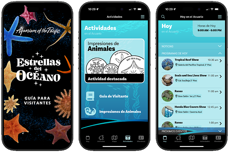 Stars of the Sea Spanish Aquarium App Screenshots 3-up