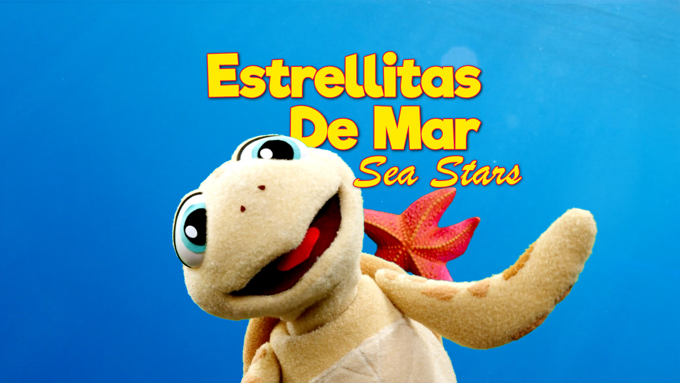 Estrellitas de Mar Sea Stars with turtle puppet