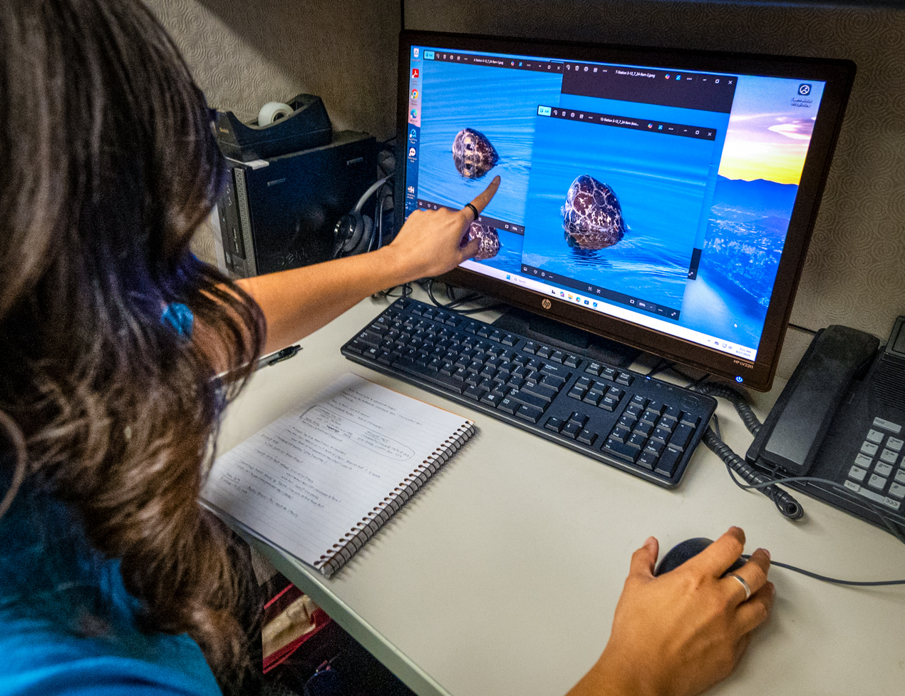 Jessica Medrano at computer pointing to sea turtles on monitor