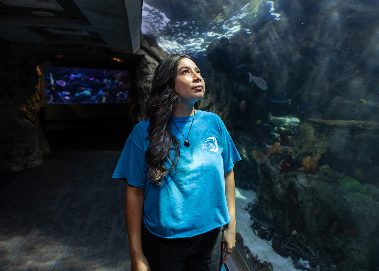 Jessica Medrano looking into an exhibit