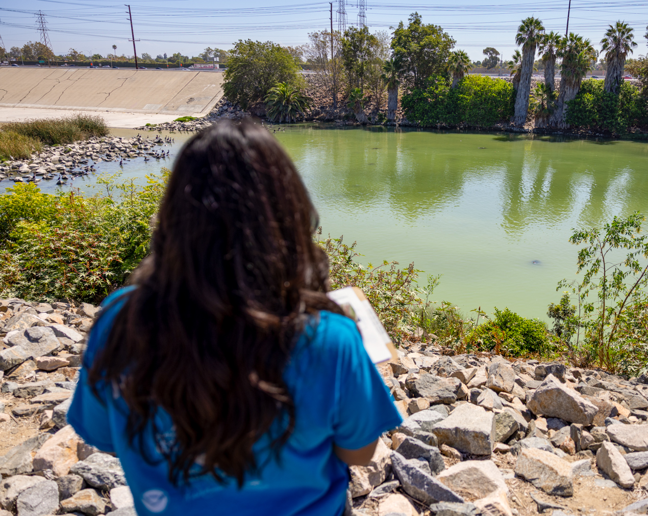 Jessica Medrano surveying turtles at river