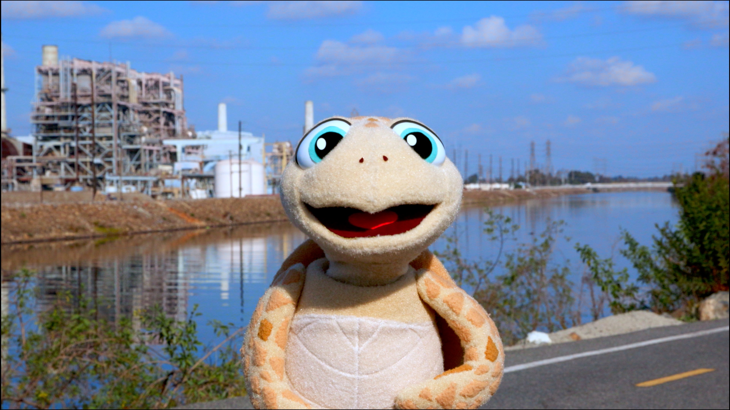 Pablo the Sea Turtle smiling big