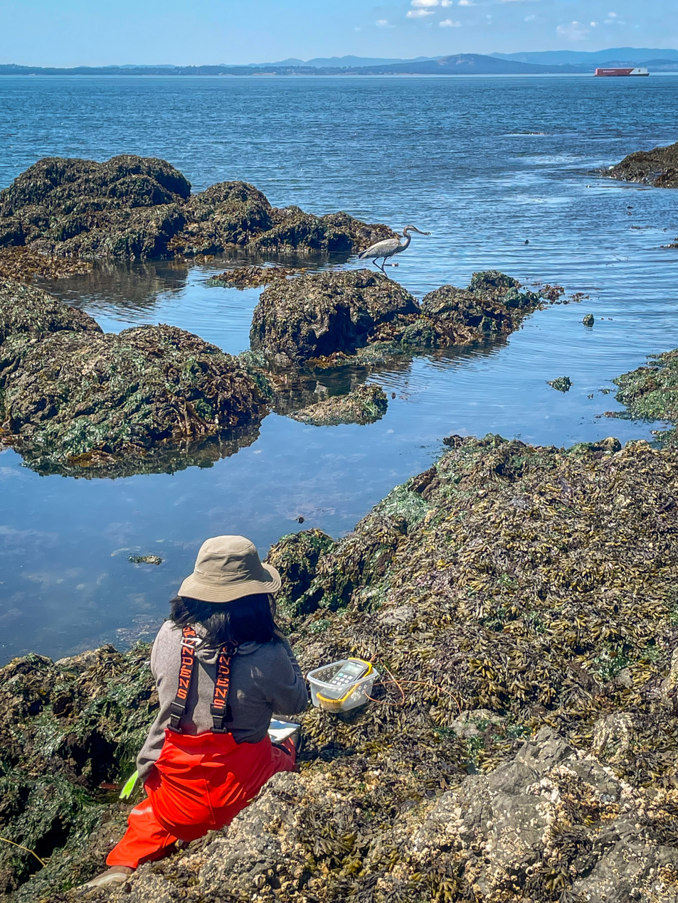 a person in a hat kneeling near the shore with an egret on a nearby rock