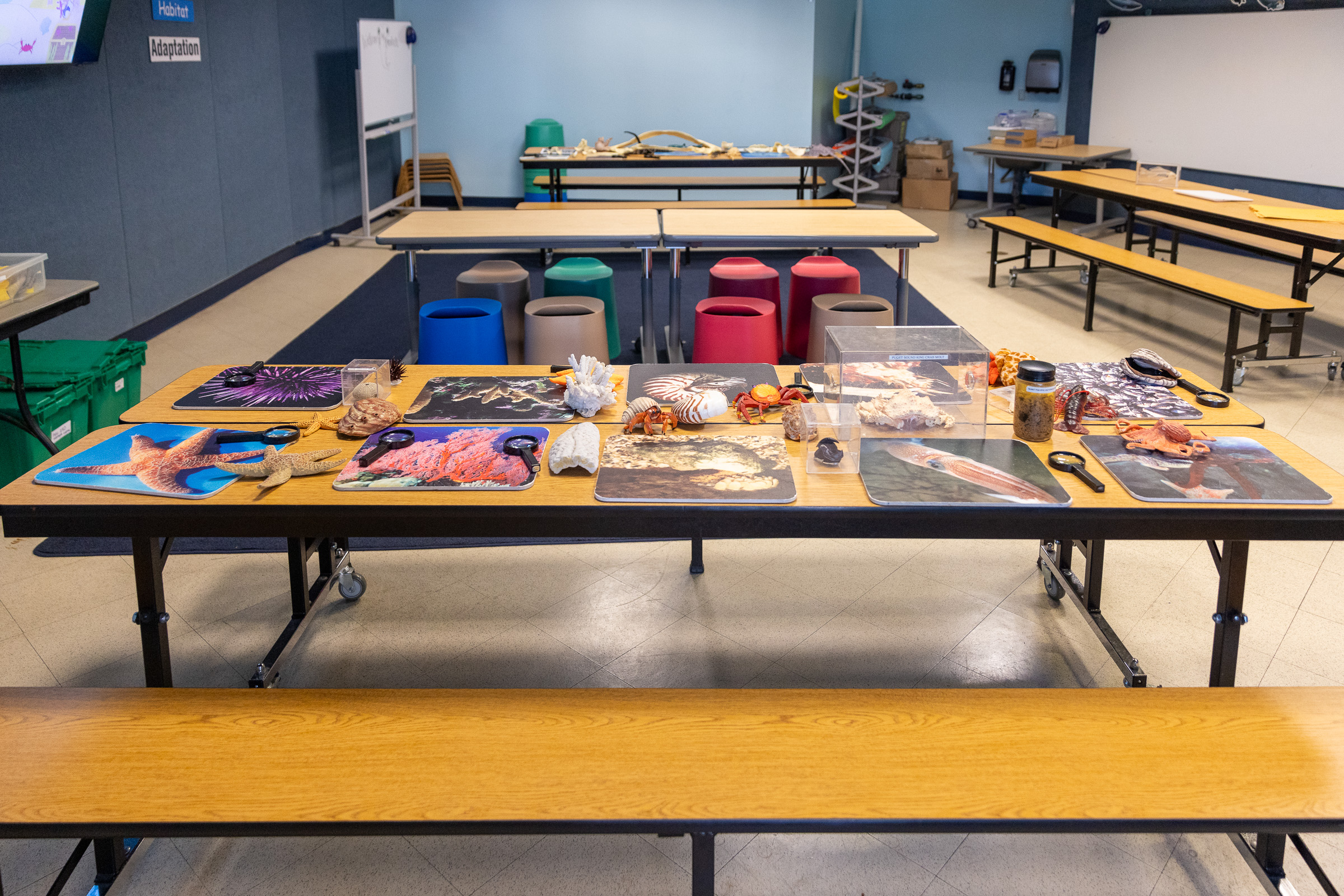 Classroom tables with ocean learning materials