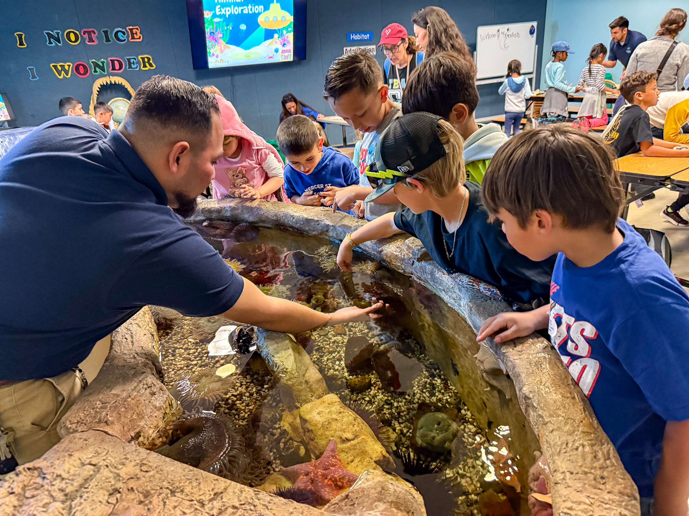 Classroom touchpool with educator interaction