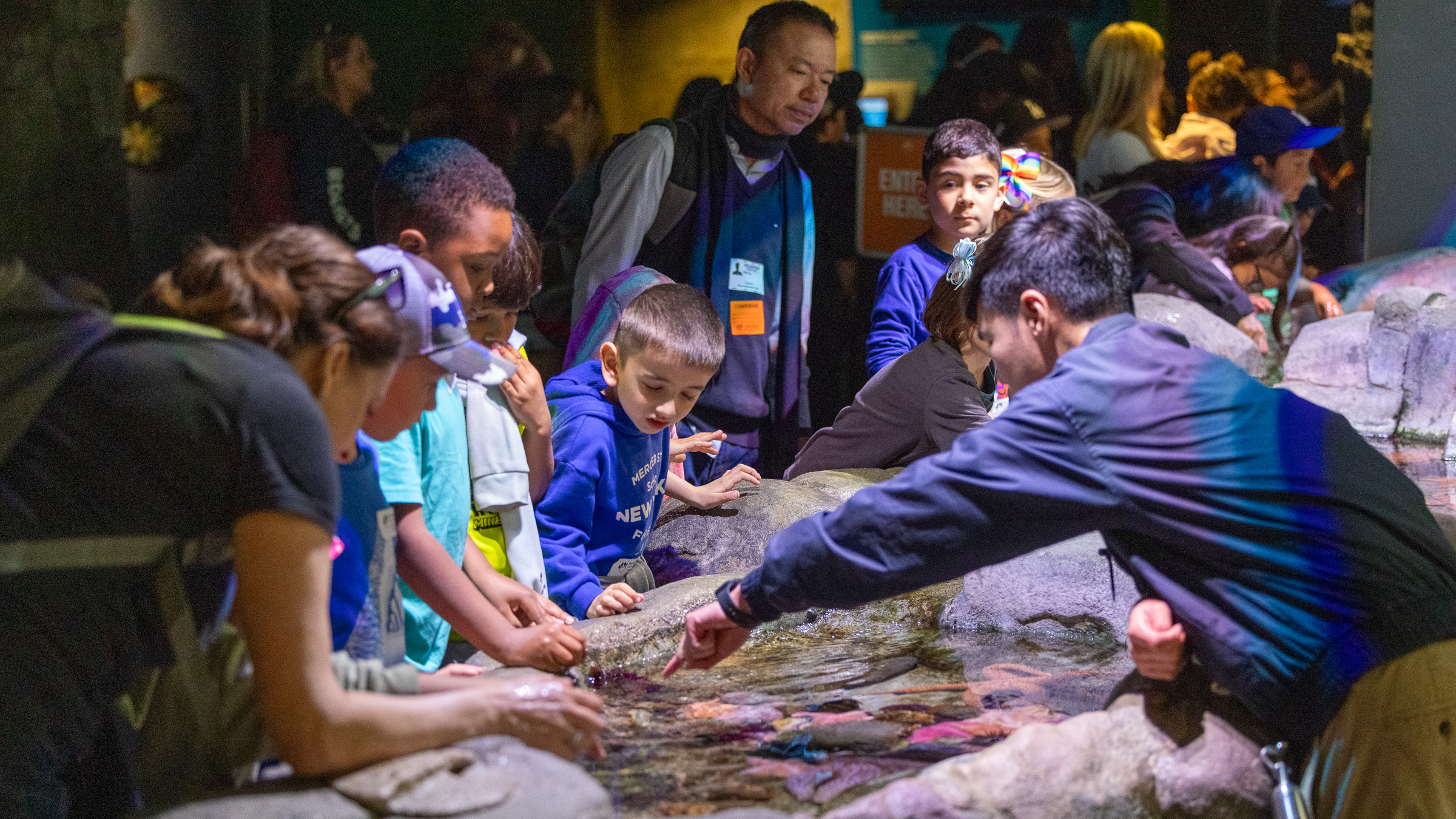 A group of people, including children, at a touch pool exhibit.