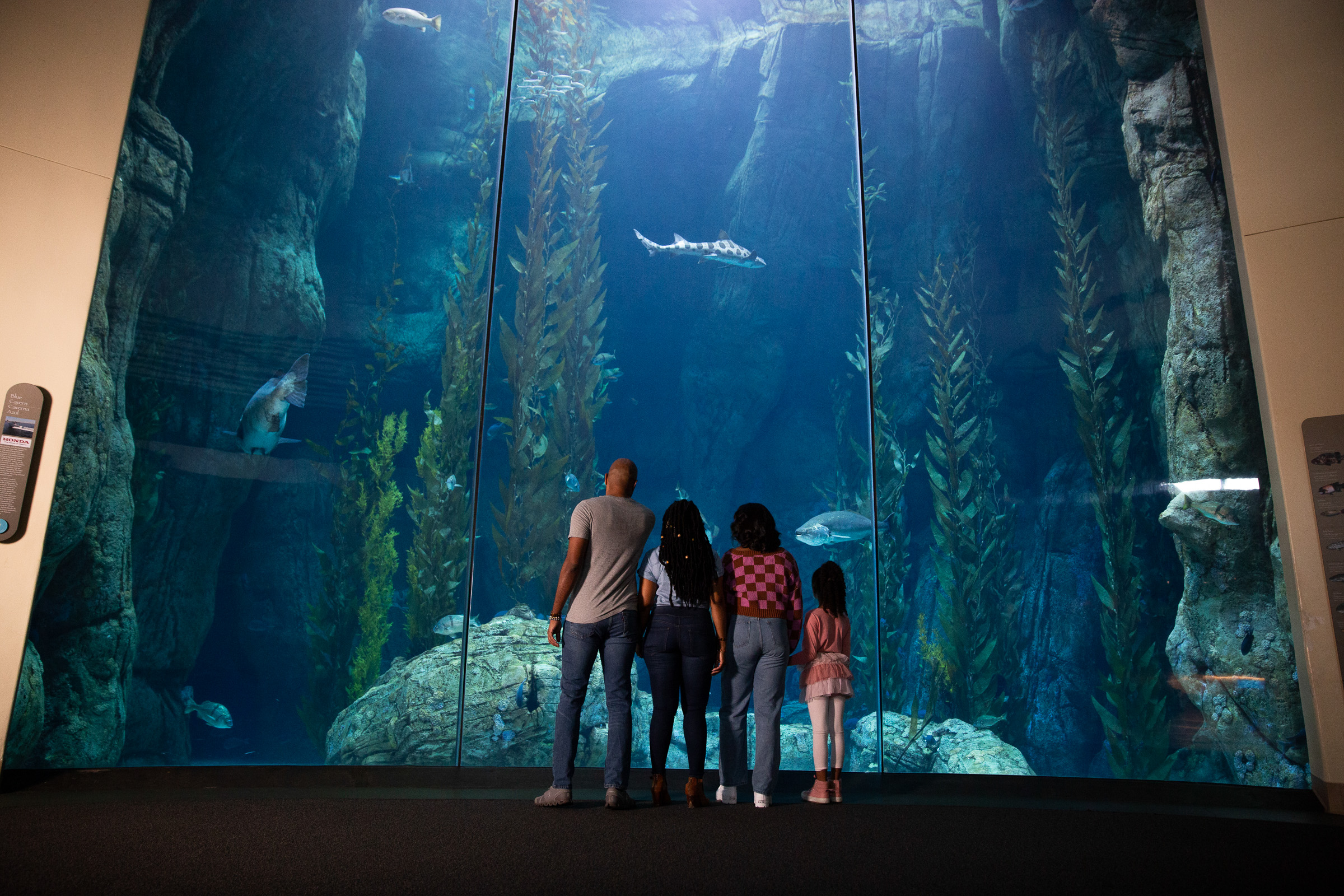 Family stands in front of large blue cavern exhibit