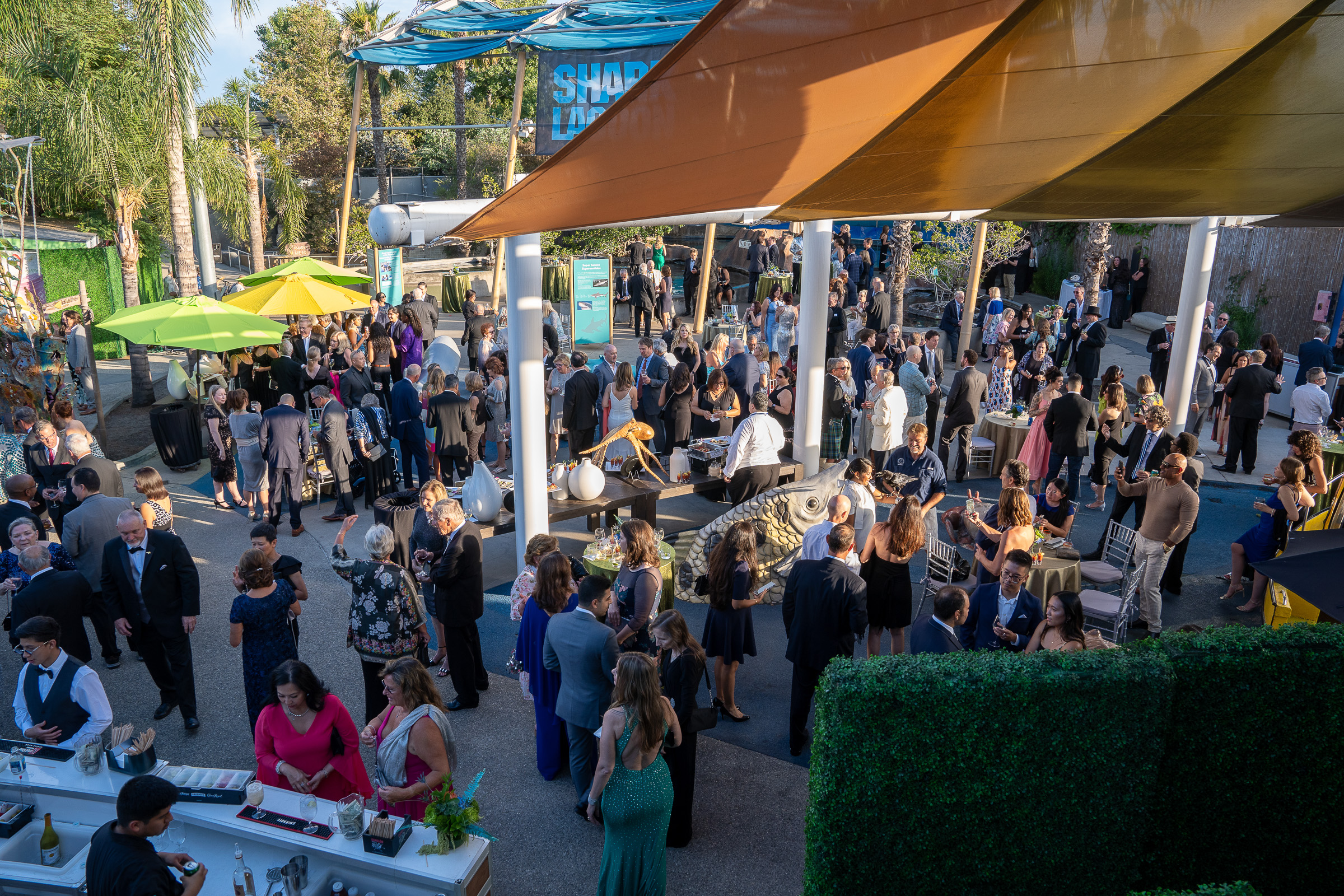 Crowd of people socializing in Shark Lagoon