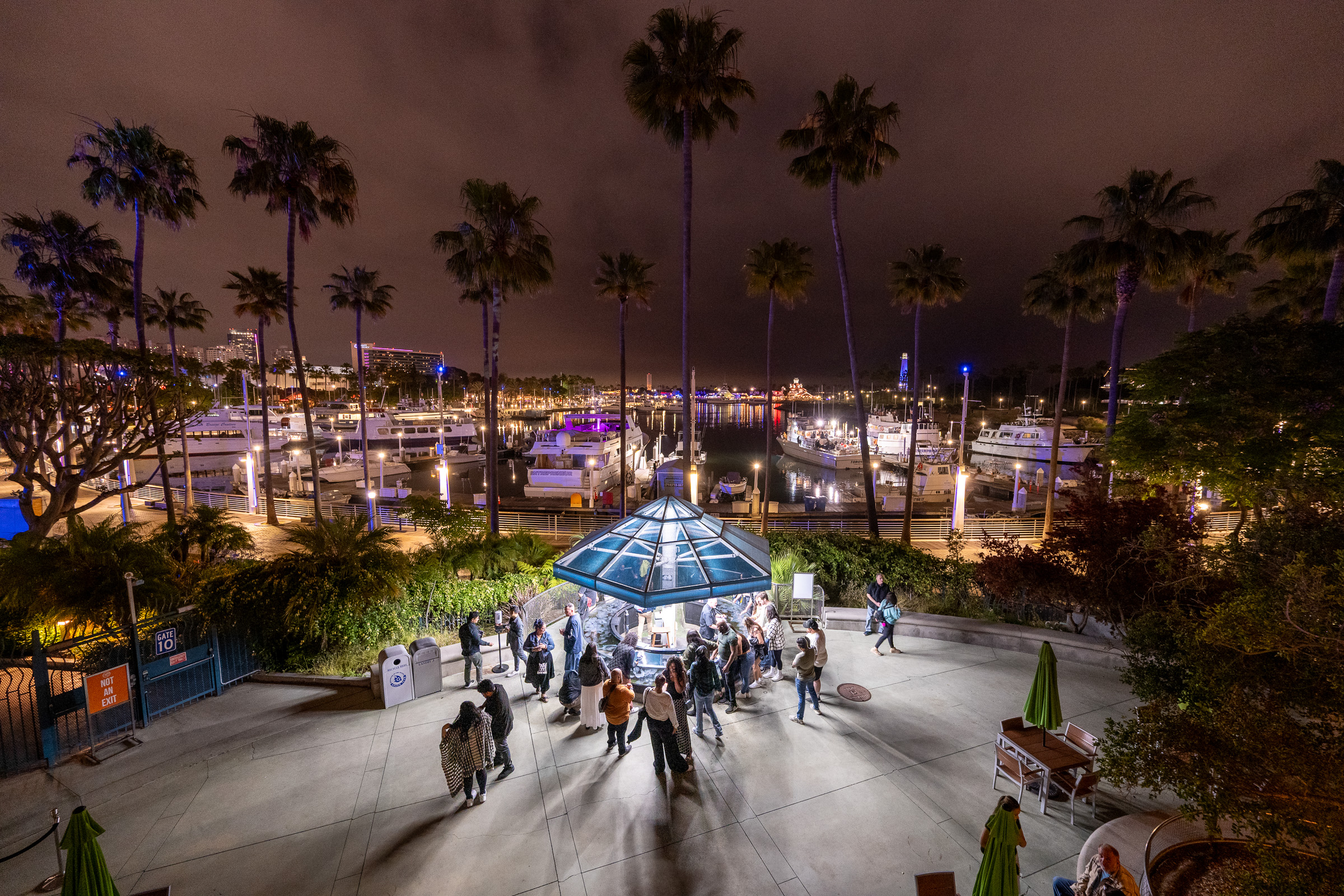 Night view of Harbor Terrace with people gathered around exhibit