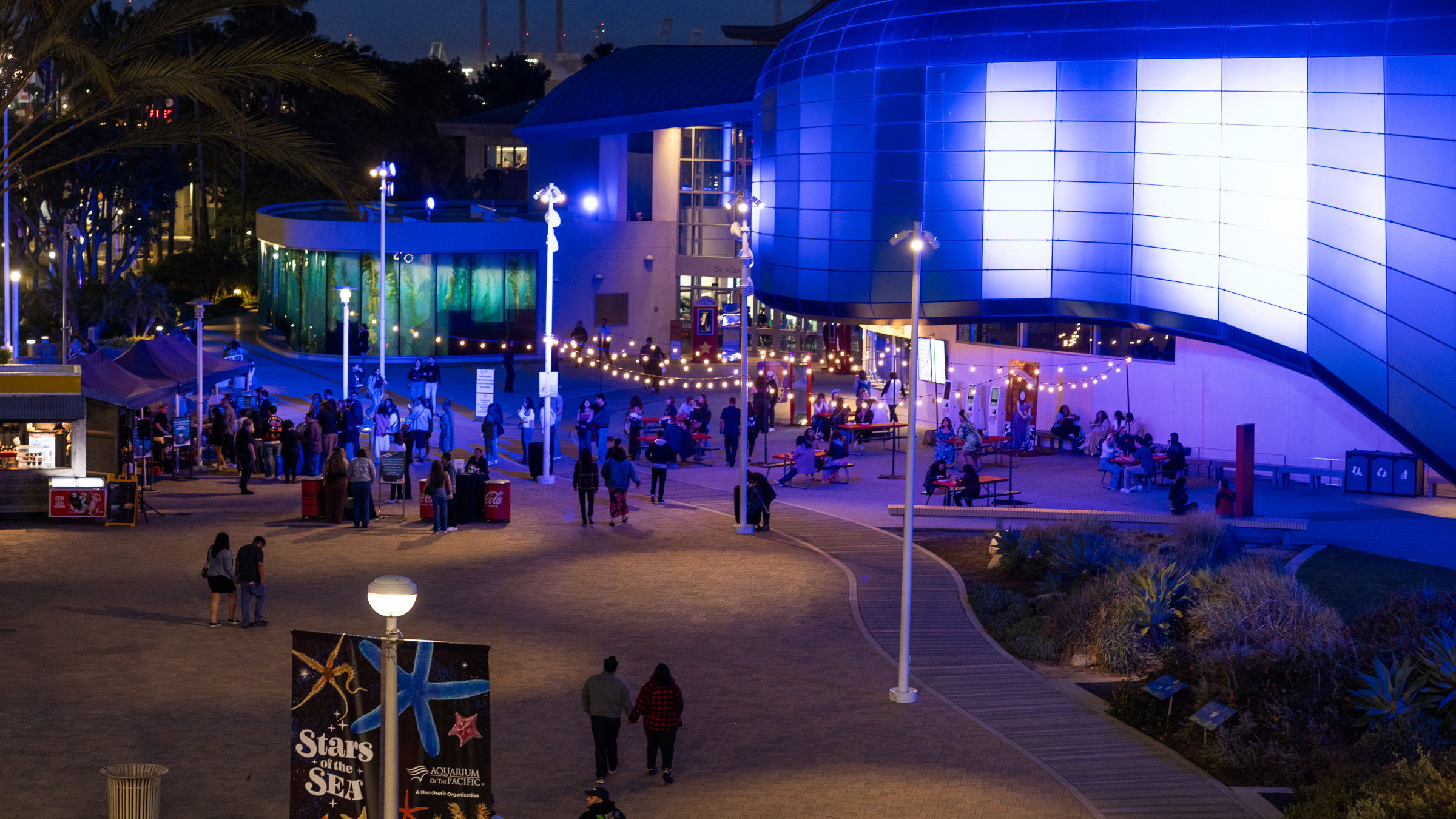 Aquarium plaza at night showing crowds mingling and lights on wires