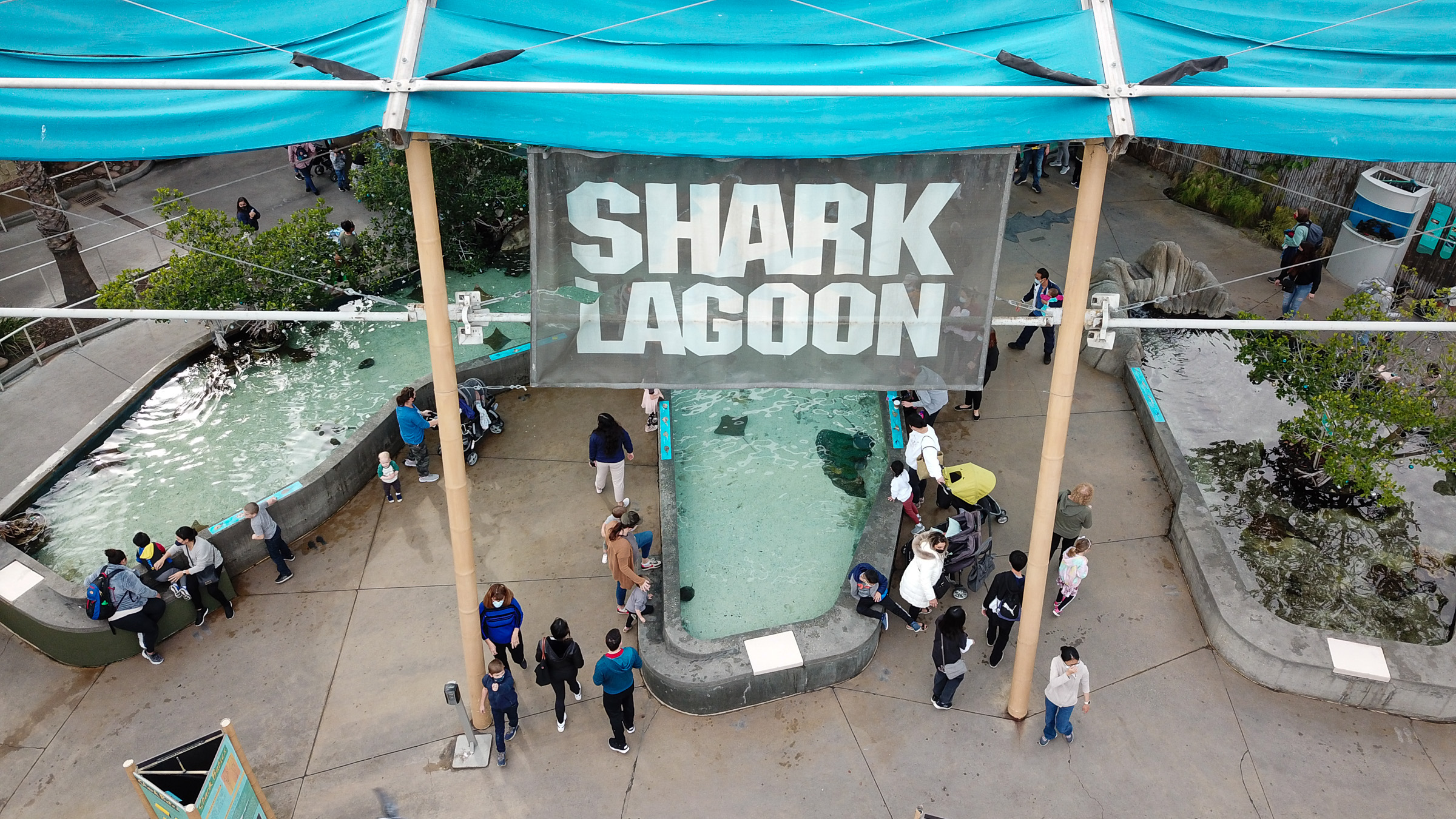 Shark Lagoon area showing touch pools and shade structure