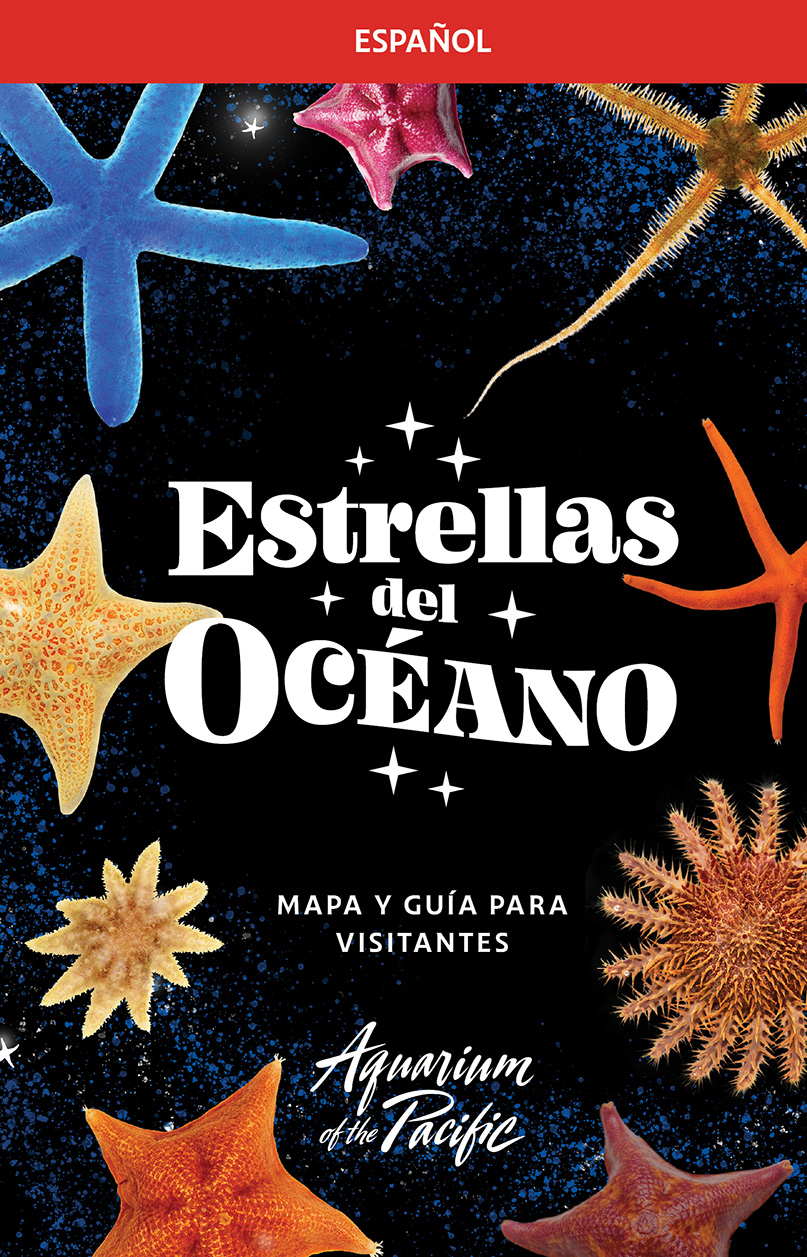 Mapa y Guía para Visitantes