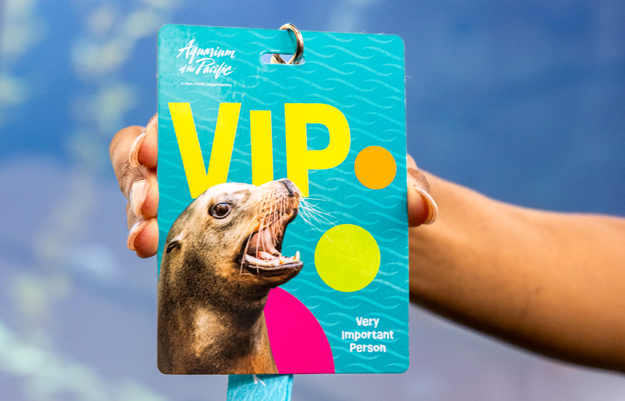 An image of the Aquarium's VIP lanyard
